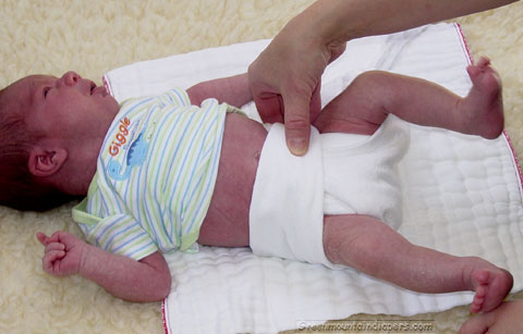 Newborn Cloth Diapers - Green Mountain Diaper Flats