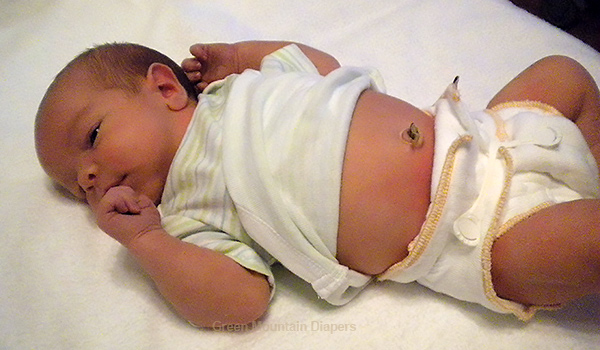 Newborn Cloth Diapers - Newborn Workhorse Fitted
